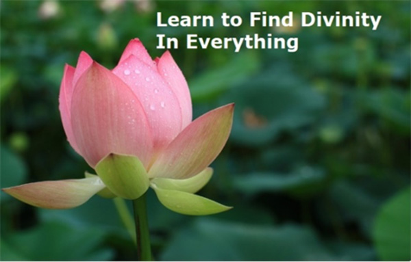 learn to find divinity in everything