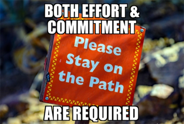 both effort and commitment are required