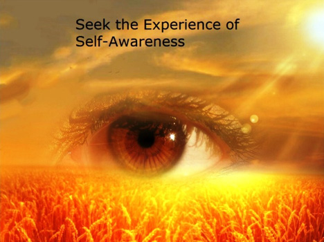 seek the experience of self-awareness